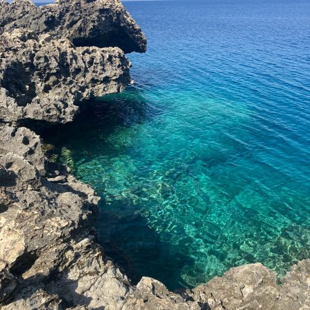 Anissa's Counselling Practice