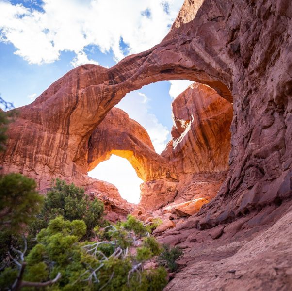 Anissa's Counselling Practice